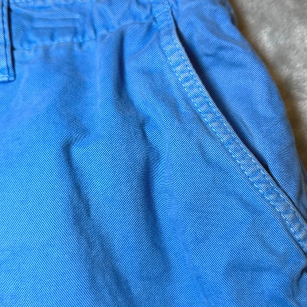 American Eagle Mens Size 34 Blue Chino Shorts Flat Front Casual Vacation Classic